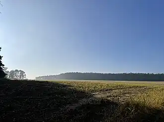 Schwarzer Berg bei Golßen