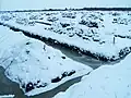 Torfabbaufläche im Winter