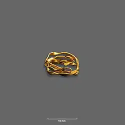 Goldring von Ammerbuch