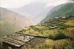 Goljung