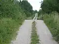 Reste einer alten Dorfstraße Gollubiens