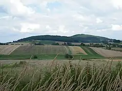 Strehlener Höhen