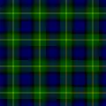 Tartan der Familie Gordon (aus dem Vestiarium Scoticum)