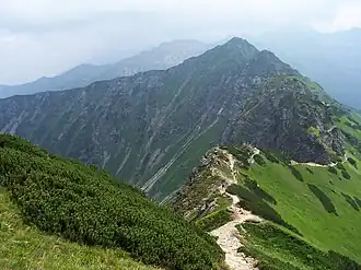 Blick vom Kammweg