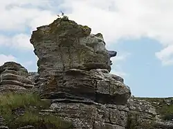 Rauk Hoburgsgreis