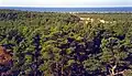 Ostseite der Insel