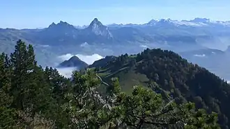 Vom Aufstieg zur Rigi-Hochflue blickt man auch zum Urmiberg