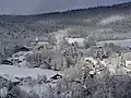 Goumois im Winter 2008