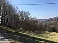 Gründberg-Südwall mit dem Grabungsabschnitt des Jahres 1997