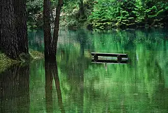 Grüner See bei hohem Wasserspiegel