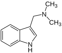 Struktur von Gramin