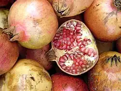 Granatapfel