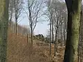 Granit-Felsgruppe auf dem Schenkenberg in Lindenfels.