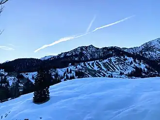 Rücken des Grasecks vorm Schildenstein im Hintergrund