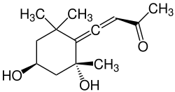 Struktur von Grashüpferketon