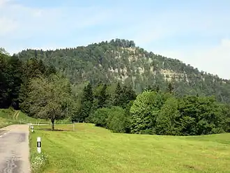 Blick von der St. Galler Seite zum Grat