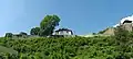 Panorama mit Bergamts-Haus (Hotel mit Gaststätte) und Burgturm (Aussichtsturm) rechts (2019)