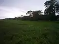 Blick vom Wattenmeer in südlicher Richtung auf das Grüne Kliff