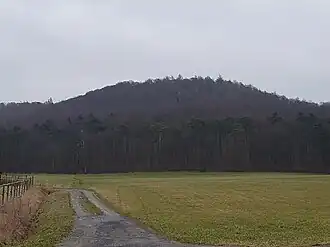 Greuther Berg