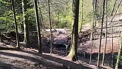 Grevenau, an der Einmündung in die Alster