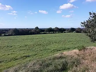 Blick vom Grimmelsberg