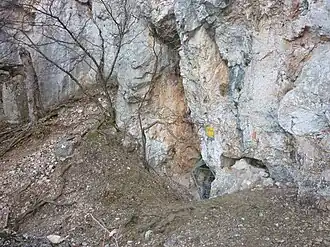 Eingangsbereich der Großen Kollerhöhle (Februar&nbsp;2011)