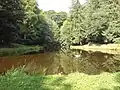 Der große Entenweiher