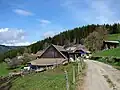 Großkoll