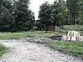 Köhlerei