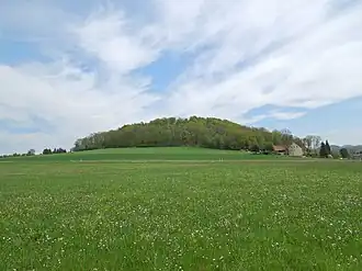 Blick zum Hutberg