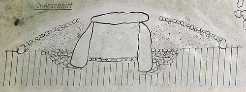 Querschnitt