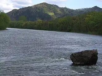 Vom Dunajec