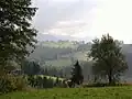 Pogórze Bukowińskie