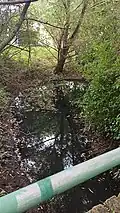 Grothwischgraben fließt durch sein erstes Rückhaltebecken