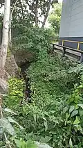 Grothwischgraben nach der Unterquerung eines Hauses