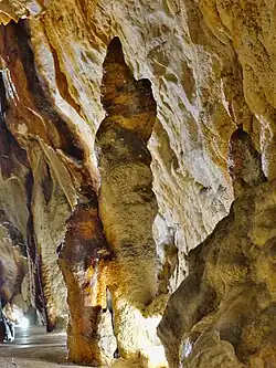 Stalagmiten
