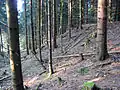 Halde eines Schachts, der hier gestanden hat