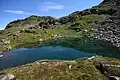 Grubersee
