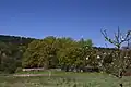 Grubingen, gesehen aus südöstlicher Richtung, im Vordergrund die Staatsstraße 2309