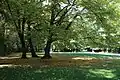 Grünwaldpark