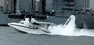 Chalk’s Albatross