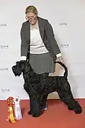 Riesenschnauzer