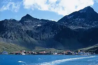 Grytviken im Sommer, Mitte der 1990er-Jahre
