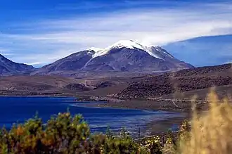 Guallatiri, davor Lago Chungará (November 2007)