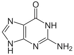 Guanin