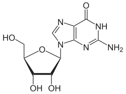 Guanosin