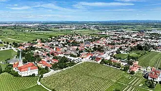 Blick über Gumpoldskirchen (2024)