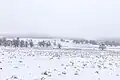 Winterliche Huteweide bei Gusternhain auf dem Hohen Westerwald