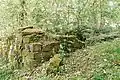 Ruine im Wald, im Hintergrund Kellergewölbe