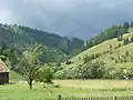 Umgebung bei Lunca de jos